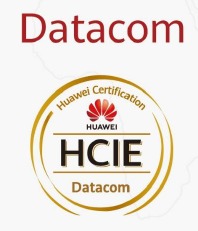 HCIE — Datacom certification badge